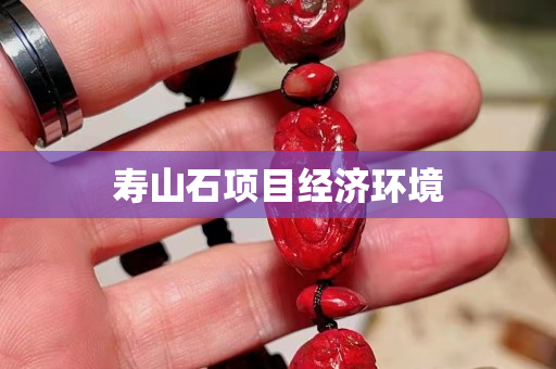 寿山石项目经济环境
