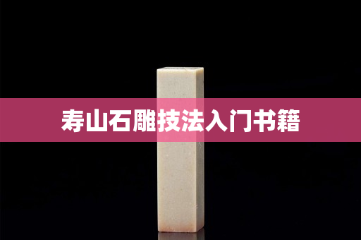 寿山石雕技法入门书籍