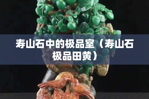 寿山石中的极品室（寿山石极品田黄）