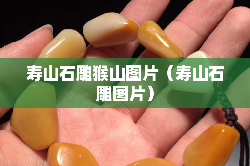 寿山石雕猴山图片（寿山石雕图片）