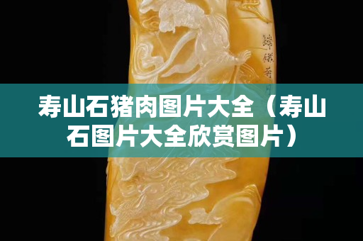 寿山石猪肉图片大全（寿山石图片大全欣赏图片）