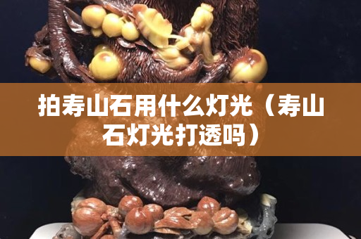 拍寿山石用什么灯光（寿山石灯光打透吗）