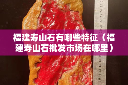 华体会的代理
有哪些特征（华体会的代理
批发市场在哪里）