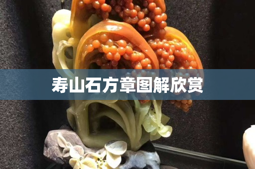 寿山石方章图解欣赏
