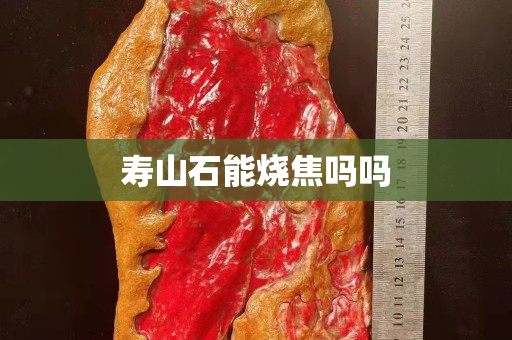 寿山石能烧焦吗吗