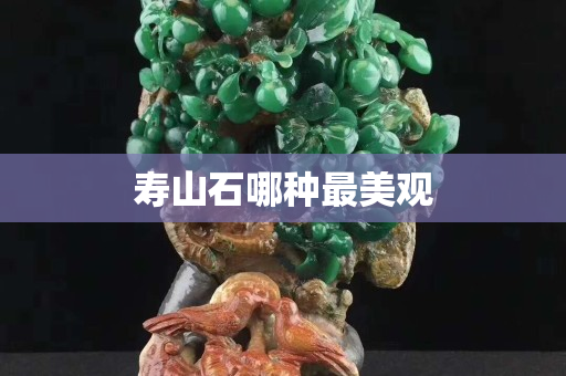 寿山石哪种最美观