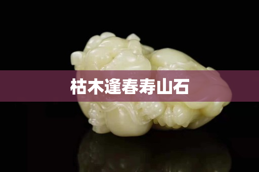 枯木逢春寿山石