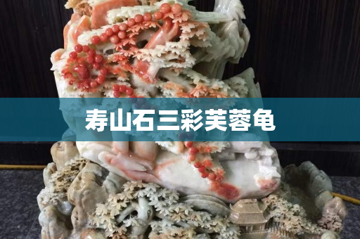 寿山石三彩芙蓉龟