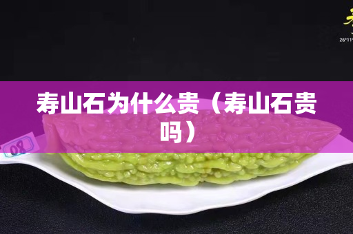 寿山石为什么贵（寿山石贵吗）