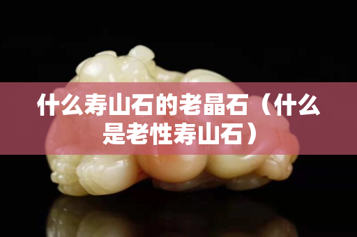 什么寿山石的老晶石（什么是老性寿山石）
