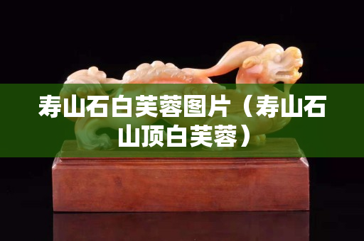 寿山石白芙蓉图片（寿山石山顶白芙蓉）
