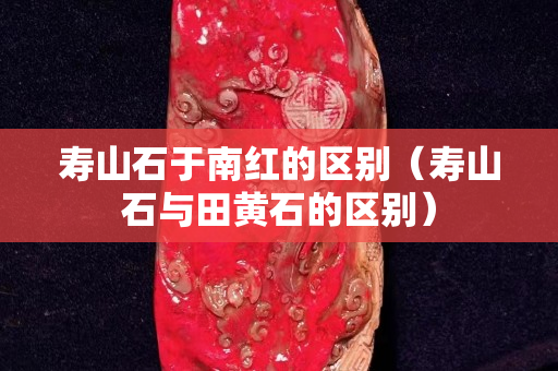寿山石于南红的区别（寿山石与田黄石的区别）