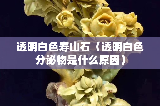透明白色寿山石（透明白色分泌物是什么原因）