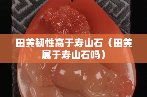 田黄韧性高于寿山石（田黄属于寿山石吗）