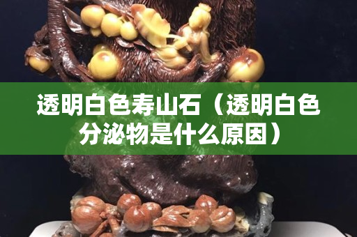 透明白色寿山石（透明白色分泌物是什么原因）