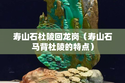寿山石杜陵回龙岗（寿山石马背杜陵的特点）