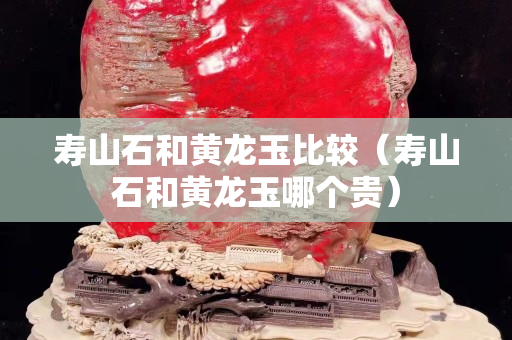 寿山石和黄龙玉比较（寿山石和黄龙玉哪个贵）