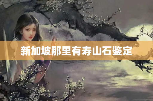 新加坡那里有寿山石鉴定