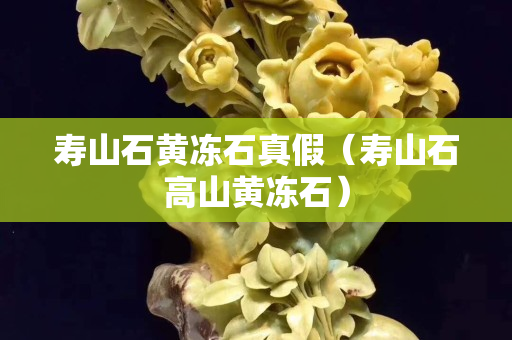 寿山石黄冻石真假（寿山石高山黄冻石）