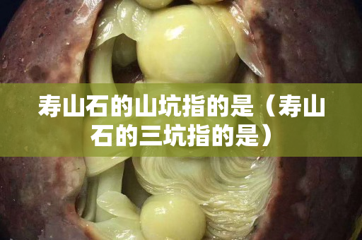 寿山石的山坑指的是（寿山石的三坑指的是）