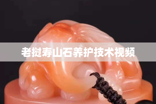 老挝寿山石养护技术视频