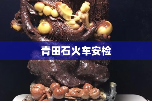 青田石火车安检
