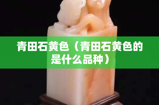 青田石黄色（青田石黄色的是什么品种）