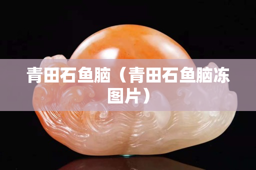 青田石鱼脑（青田石鱼脑冻图片）