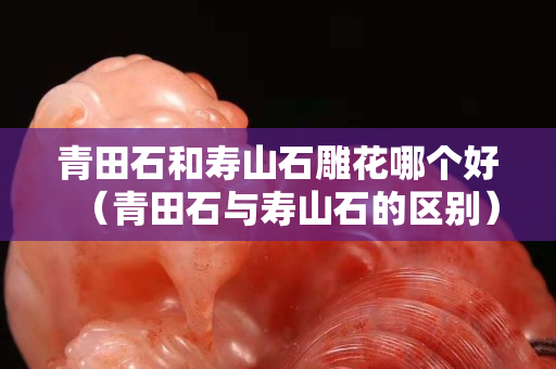 青田石和寿山石雕花哪个好（青田石与寿山石的区别）
