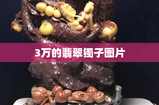 3万的翡翠镯子图片