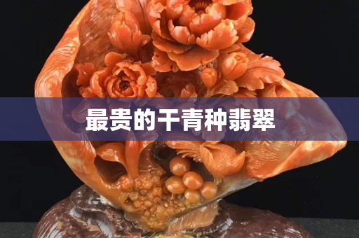 最贵的干青种翡翠