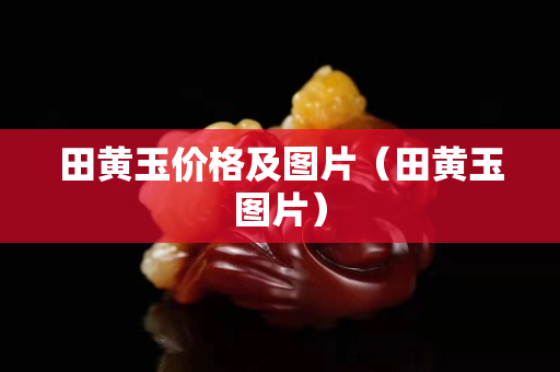 田黄玉价格及图片（田黄玉图片）