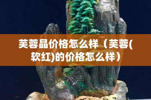 芙蓉晶价格怎么样（芙蓉(软红)的价格怎么样）
