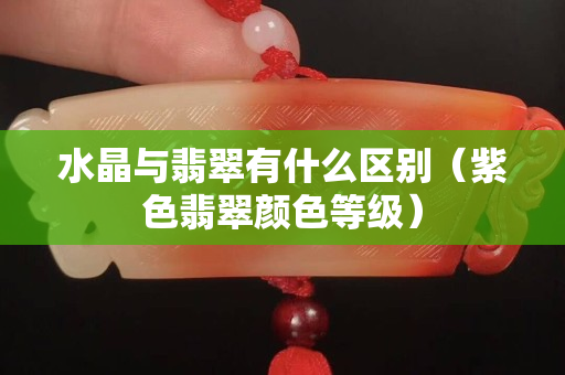 水晶与翡翠有什么区别（紫色翡翠颜色等级）