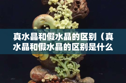 真水晶和假水晶的区别（真水晶和假水晶的区别是什么）