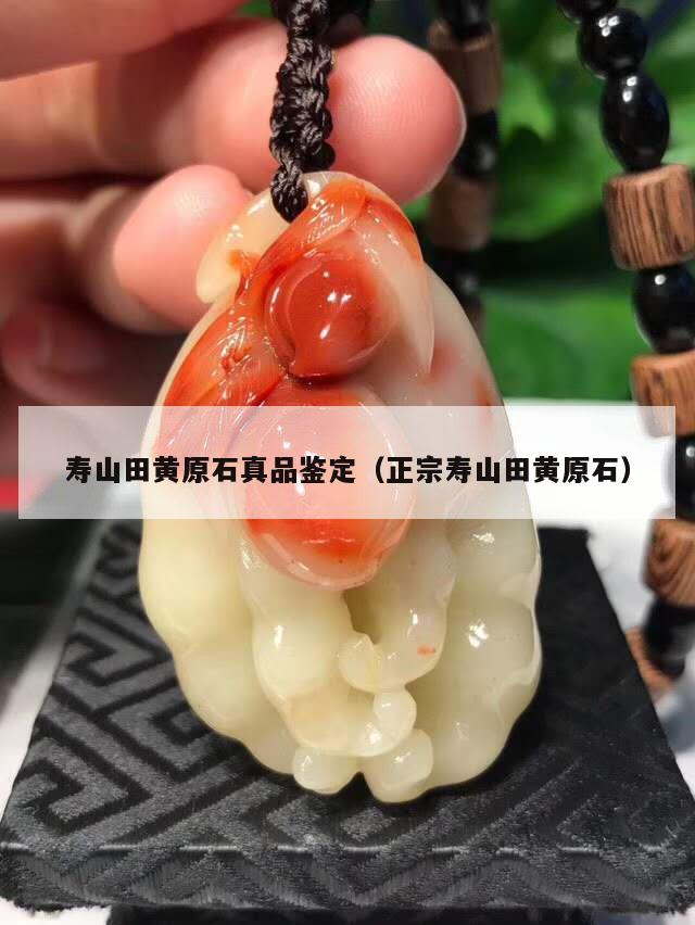 寿山田黄原石真品鉴定（正宗寿山田黄原石）